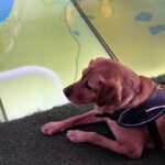 original_d5130a84-9d5b-4d4e-bf9d-34ffb4392d03_20250517_121214