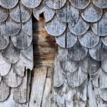 Afb.17